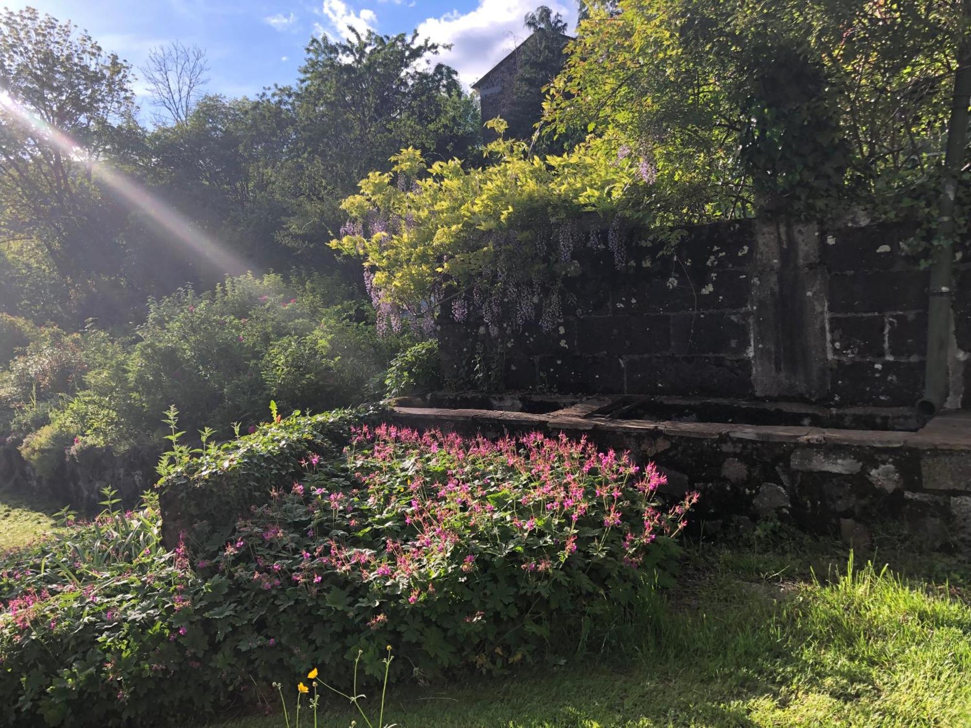Le Figarelou Bed & Breakfast Thiezac Bagian luar foto