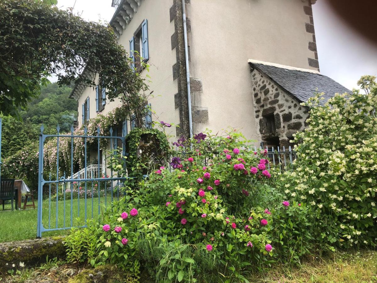 Le Figarelou Bed & Breakfast Thiezac Bagian luar foto