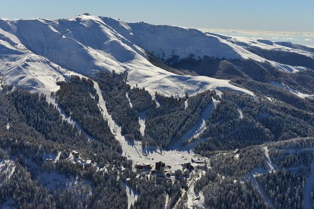 Le Figarelou Bed & Breakfast Thiezac Bagian luar foto