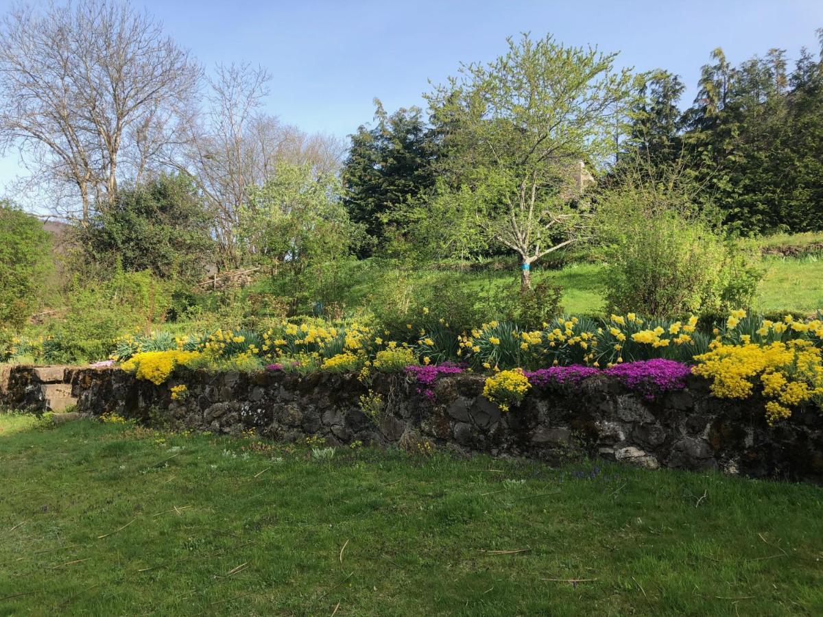 Le Figarelou Bed & Breakfast Thiezac Bagian luar foto