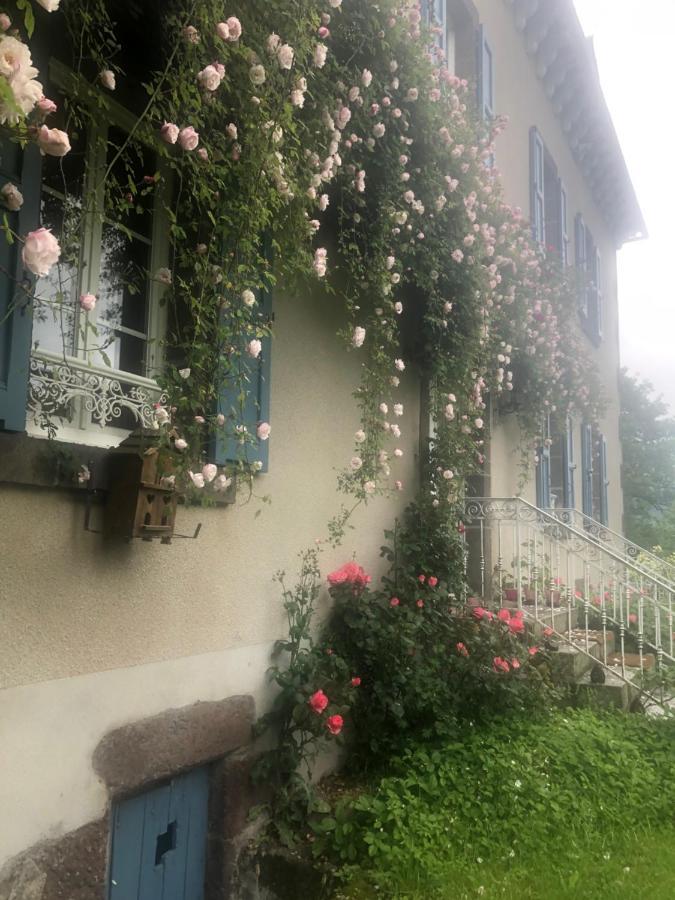 Le Figarelou Bed & Breakfast Thiezac Bagian luar foto