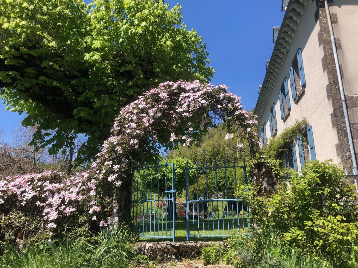 Le Figarelou Bed & Breakfast Thiezac Bagian luar foto