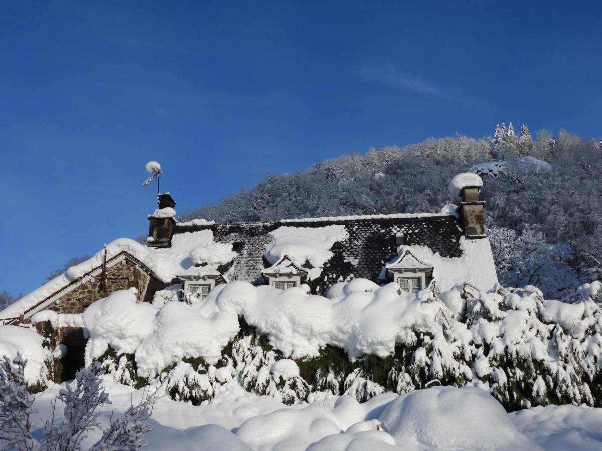 Le Figarelou Bed & Breakfast Thiezac Bagian luar foto