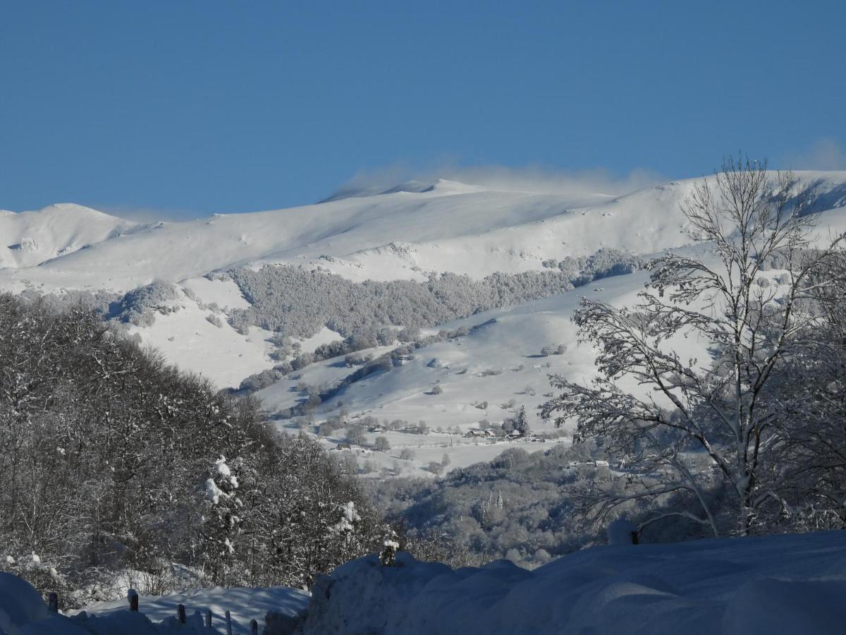 Le Figarelou Bed & Breakfast Thiezac Bagian luar foto