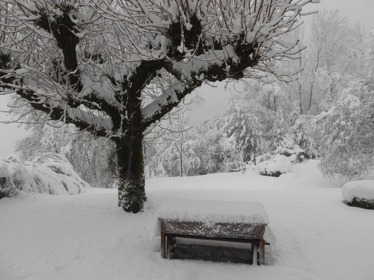 Le Figarelou Bed & Breakfast Thiezac Bagian luar foto
