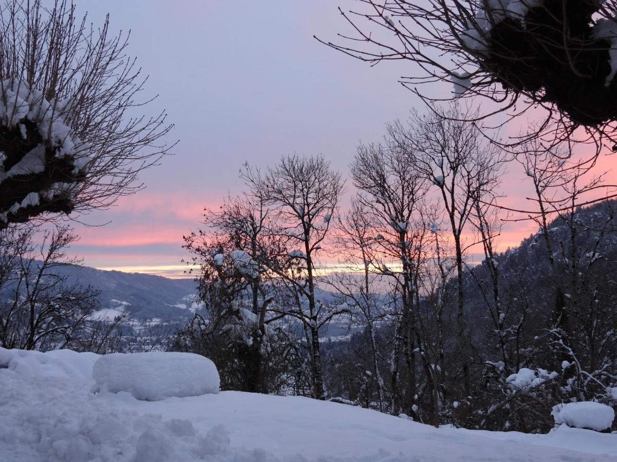 Le Figarelou Bed & Breakfast Thiezac Bagian luar foto